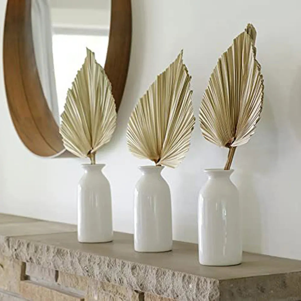2PCS Palm Fan Leaf Dried Flower Mini Palm Leaves Home Decor - NON BRANDED SUPERMARKET