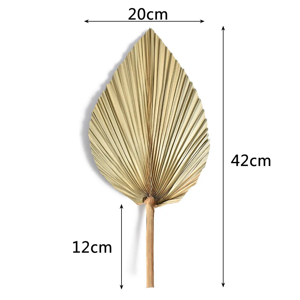 2PCS Palm Fan Leaf Dried Flower Mini Palm Leaves Home Decor - NON BRANDED SUPERMARKET