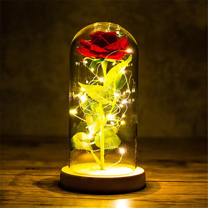 Valentines Day Gift for Girlfriend Eternal Rose LED Light Foil Flower In Glass Cover Mothers Day Wedding favors Bridesmaid Gift - NON BRANDED SUPERMARKET 