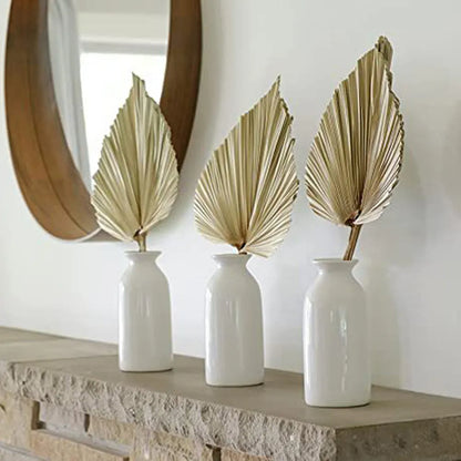 2PCS Palm Fan Leaf Dried Flower Mini Palm Leaves Home Decor - NON BRANDED SUPERMARKET 