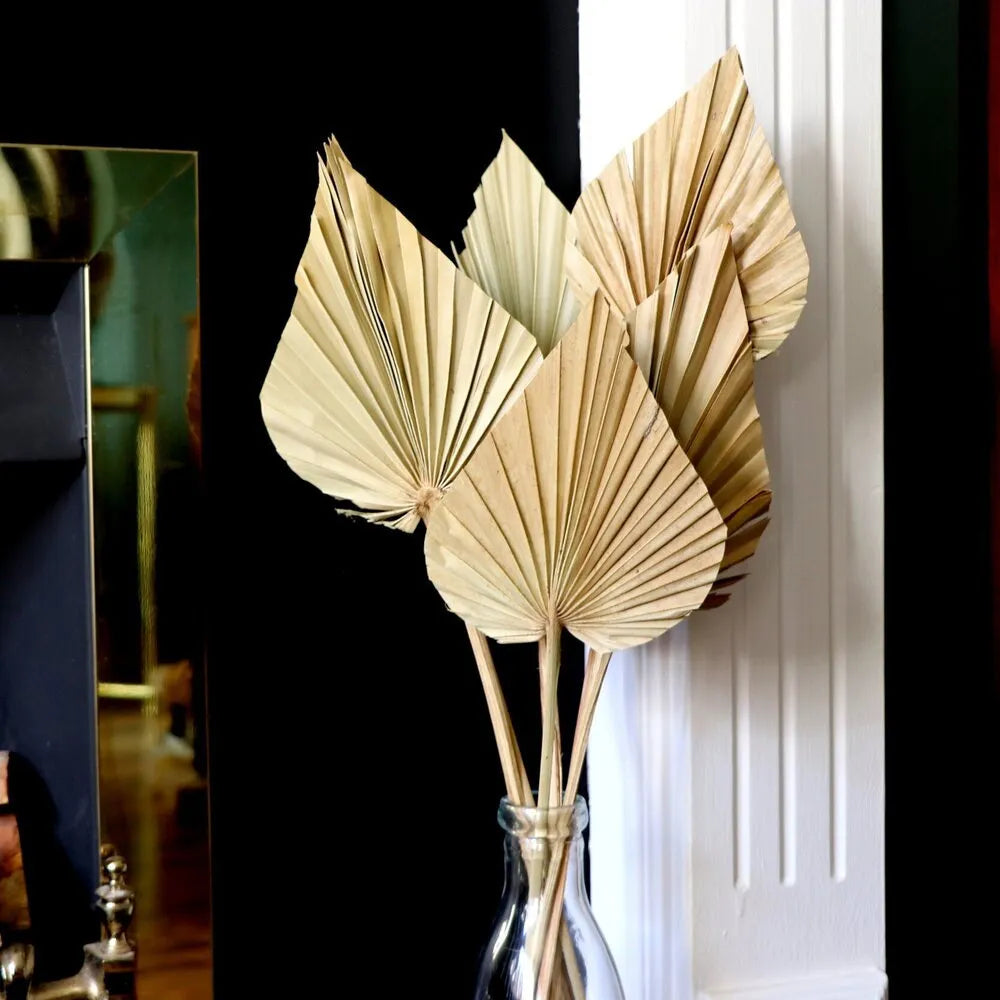 2PCS Palm Fan Leaf Dried Flower Mini Palm Leaves Home Decor - NON BRANDED SUPERMARKET 