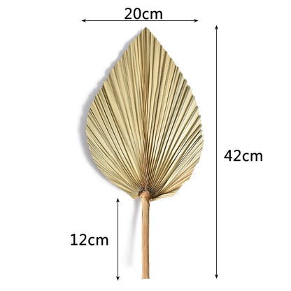 2PCS Palm Fan Leaf Dried Flower Mini Palm Leaves Home Decor - NON BRANDED SUPERMARKET 